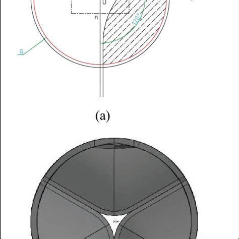 A Radial Position Of The Nodulus Of Arantius And Aortic Sinuses In A