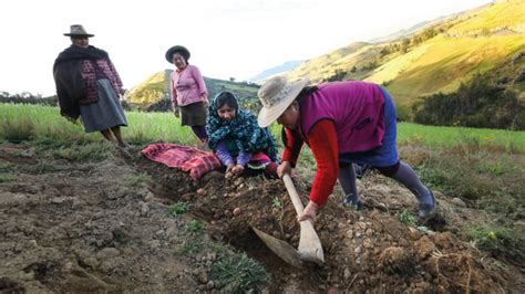 Proyecto Especial Alto Huallaga Peah Plataforma Del Estado Peruano