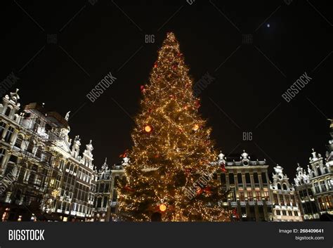 Christmas Tree Image & Photo (Free Trial) | Bigstock