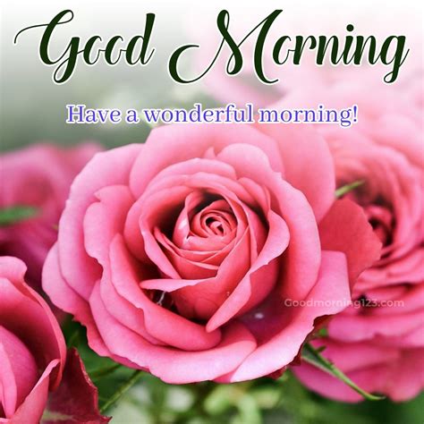 Brighten Your Day Good Morning Pink Roses Collection Good Morning Images Good Morning Wishes