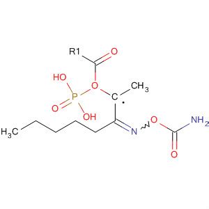 Phosphonic Acid Aminocarbonyl Oxy Imino Hexyl