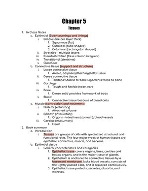 Anatomy And Physiology Chapter Chapter Chemical Basis Of Life