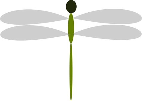 dragonfly transparent png 12177147 PNG