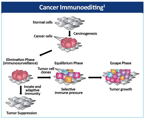 NSCLC Pathophysiology – NSCLC 