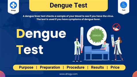 What Is Dengue Igm Igg And Ns1