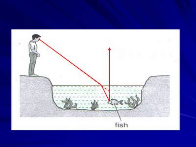 we love physics !: real depth and apparent depth