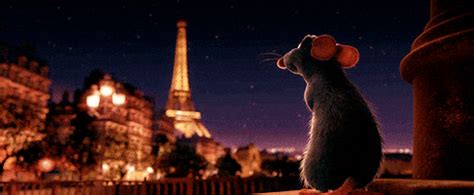 Ratatouille GIFs - Find & Share on GIPHY