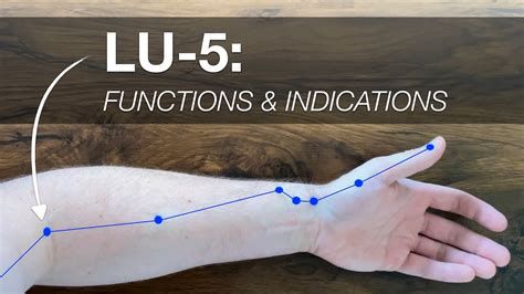 LU 5 Point Functions Indications YouTube