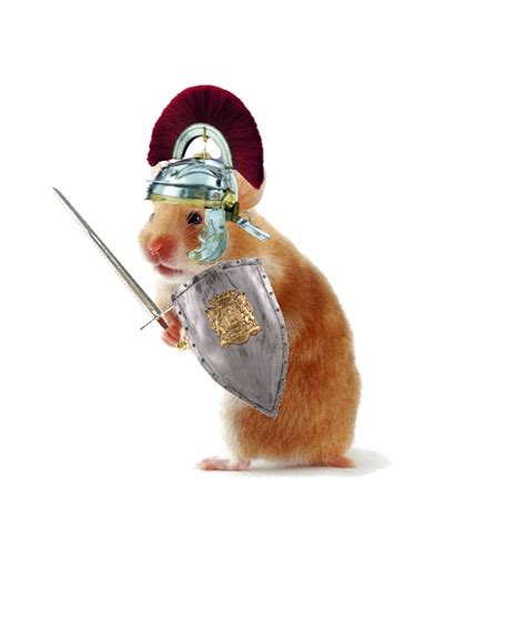 Sir Hamsterlot Uncyclopedia The Content Free Encyclopedia