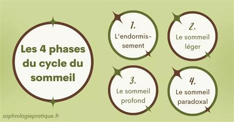 Cycle Du Sommeil Le Comprendre Pour Mieux Dormir