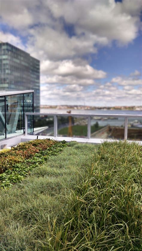 LiveRoof Hybrid Green Roofs 101 Seaports Sweeping Views Include