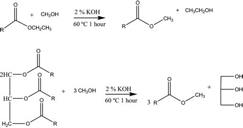 Transesterification Of Standard Ethyl Oleate To Methyl Oleate And That Download Scientific