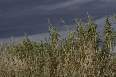 Wind Thunderstorm Clouds - Free photo on Pixabay - Pixabay