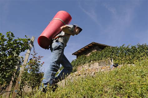 Nuovo Bando A Sostegno Dei Giovani Agricoltori UnserTirol24