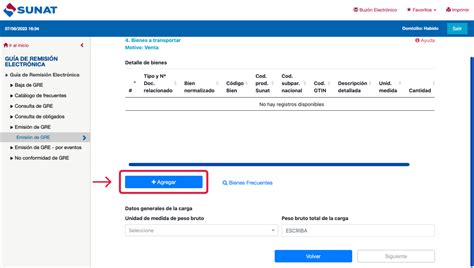 Emitir Guía De Remisión Electrónica Desde Sunat 2024
