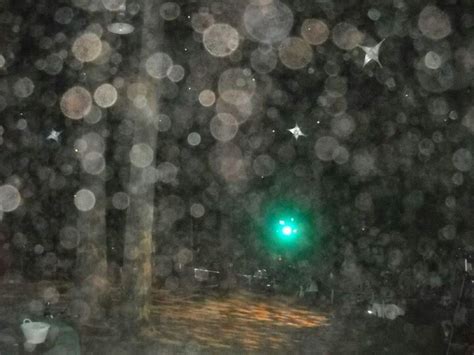 Orbs Paranormal Activitytaken At Doty Harper Park Burien Wa By