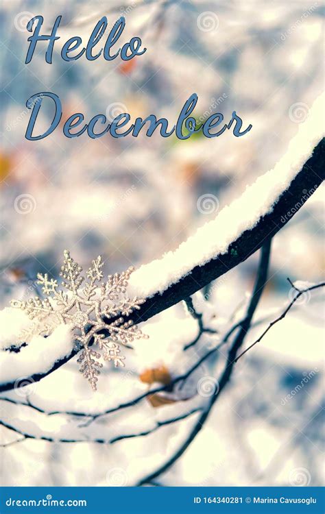 Top 999 Hello December Images Amazing Collection Hello December