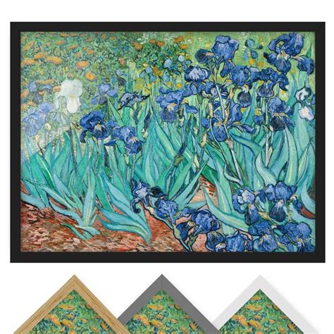 Vincent Van Gogh Iris Bild Mit Rahmen Im Querformat Bilderwelten