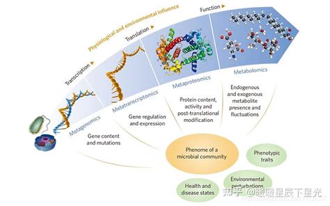 代谢组学数据分析及网络药理学结构案例分析推荐 知乎