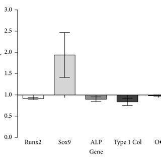 HMSC Gene Expression Fold Change In Relative Gene Expression Of HMSCs