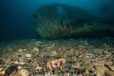 The Ww2 Japanese Destroyer Hibiki Shipwreck Off Karamzin Island In