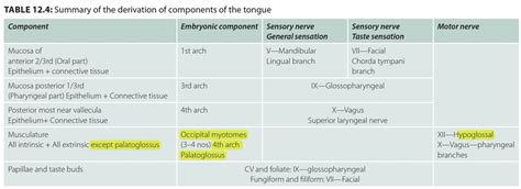 Development of Tongue | Sensory nerves, Sensory, Sensation