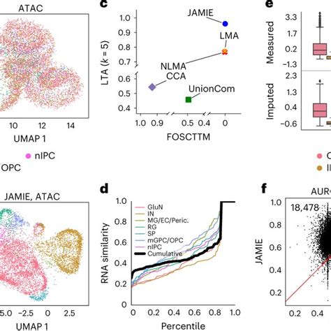 Gene Expression And Chromatin Accessibility Of Single Cells In The