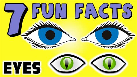 7 Fun Facts About Eyes Eye Facts For Kids Learning Colors Glasses