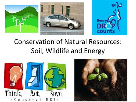 Ppt Conservation Of Natural Resources Soil Wildlife And Energy