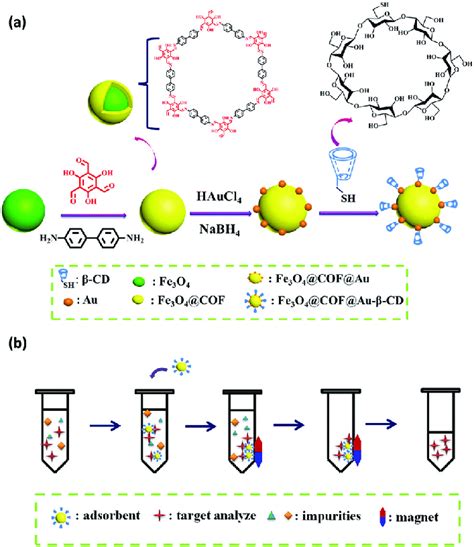 A Schematic Illustration For The Synthesis For Fe 3 O 4 Cofau B Cd