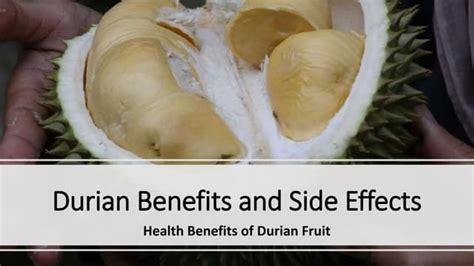 Health Benefits of Durian Fruit - Durian Benefits and Side Effects | PPT