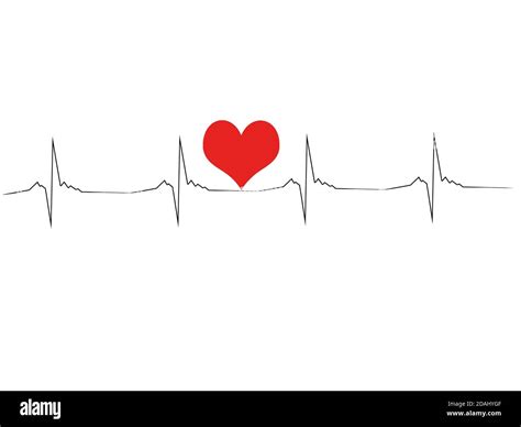 Ekg Line Vector Isolated On White Background Stock Photo Alamy