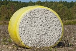 The Story of Cotton: How Cotton is Grown, Processed, and Used ...