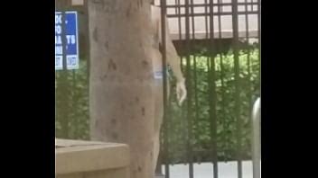 Mi Vecina Esta Bien Buena XVIDEOS