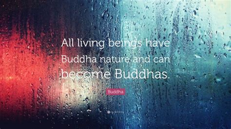 Buddha Quote All Living Beings Have Buddha Nature And Can Become