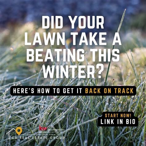 How To Revive A Lawn That Took A Beating This Winter Ca Real Estate