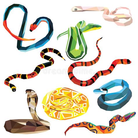 Hand Drawn Snake Set Stock Vector Illustration Of Ophidian