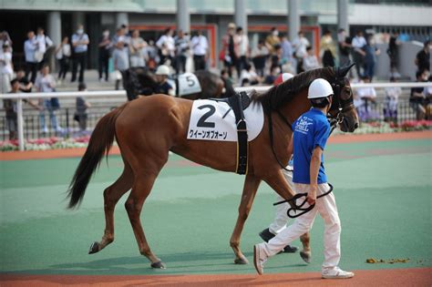 東京シティ競馬tck On Twitter 4r新馬戦を制したのは、藤本騎手騎乗の マローネアバンティ ！ 直線で後続を突き放し、9