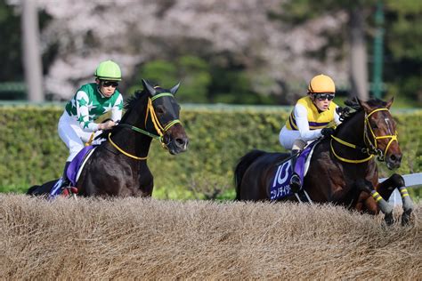 中山グランドジャンプ・イロゴトシが連覇 Moment日刊ゲンダイ