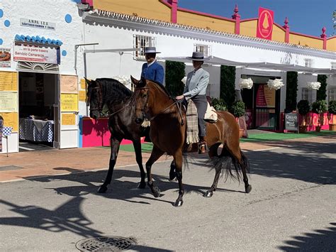 Abierto el plazo de inscripción de caballos y enganches para acceder al