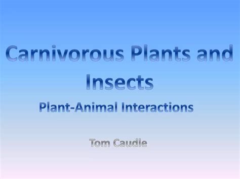 Ppt Carnivorous Plants And Insects Powerpoint Presentation Free