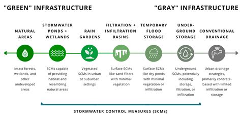 Water Free Full Text It Is Not Easy Being Green Recognizing