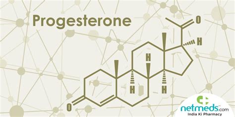 Progesterone Structure Crucial Functions And Adverse Effects Of This