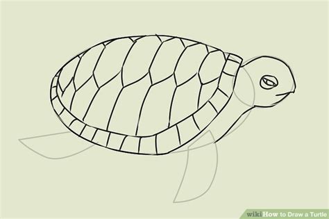 Sea Turtle Drawing For Kids At Explore Collection