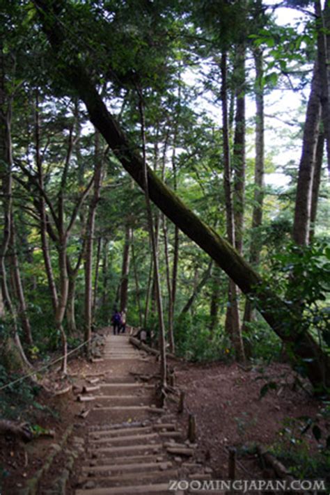 Hiking Mt. Takao as a Day Trip from Tokyo » Zooming Japan