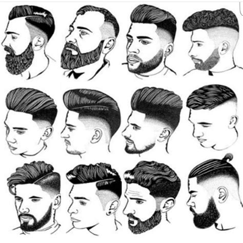 Hair Cutting Diagrams Template