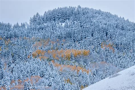 First Snowfall in Montana