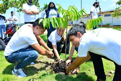 Siembra De Rboles En Guayaquil Daule Y Samborond N Universidad