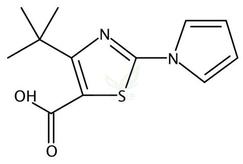 Tert Butyl H Pyrrol Yl Thiazole Carboxylic Acid