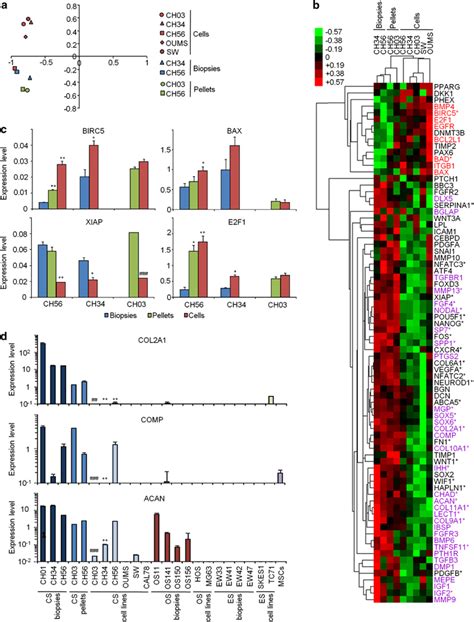 Transcriptomic Analysis A Principal Component Analysis Comparing The Download Scientific